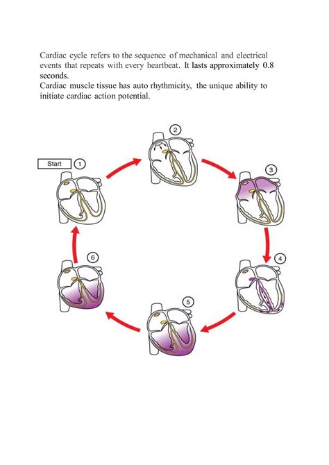 Tutorial of How a Heart Functions 的图像结果
