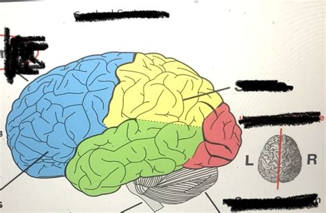 Cortex 的图像结果