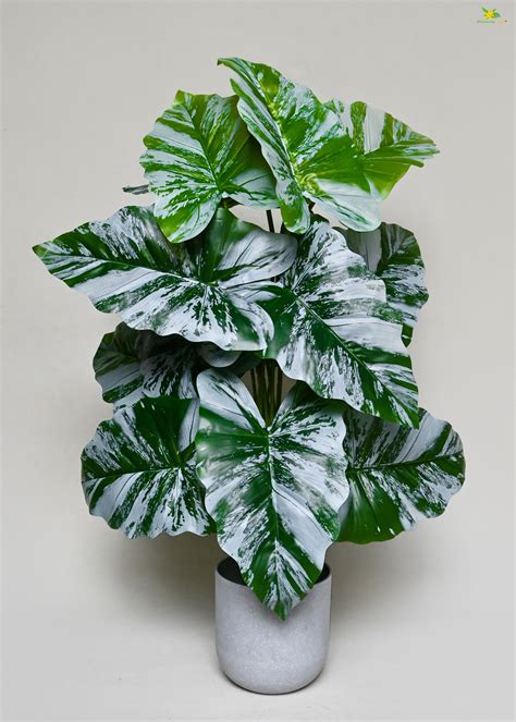 Artificial Tropical Caladium Plant for Decor | 18 Leaves with Basic Po ...