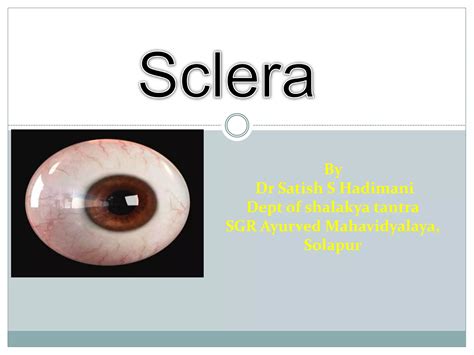 Anatomy of Sclera | PPTX