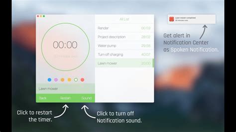 Image result for Pro Form Timer