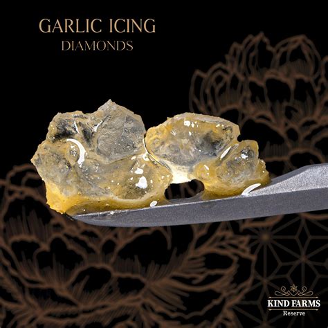 Garlic Icing Live Diamonds and Sauce - Kind Farms Reserve - Kind Farms ...