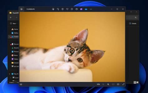 Image result for How Retrieve Chk Files