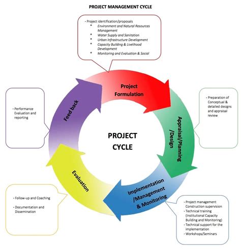Project Cycle 的图像结果