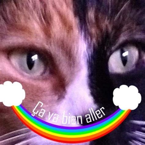 Aux Champs Mere-Terre (Potton Springs) - All You Need to Know BEFORE You Go