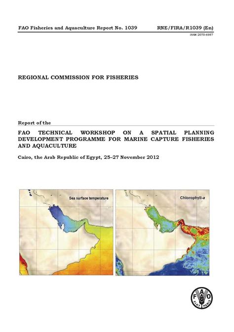 Buy Report of the FAO technical workshop on a spatial planning ...