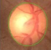 Indian Biological Images Archive