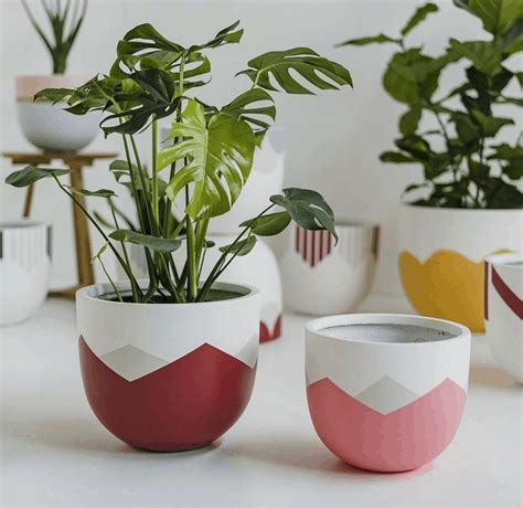 How To Design Plants In Pots at Joseph Carney blog