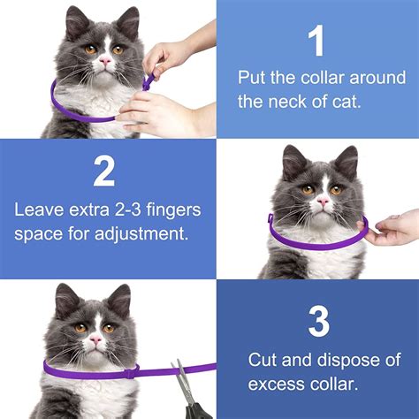 How To Use Cat Flea Collar at Phyllis Spain blog