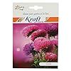 Aster Dwarf Double Flower Seeds by KRAFT SEEDS : Amazon.in: Garden ...
