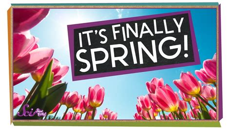 Image result for About Spring