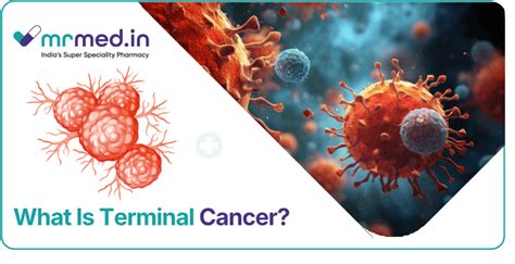All You Need To Know About Terminal Cancer And Its Details
