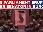 Burqa Uproar In Australia: Pauline Hanson’s Protest Leads To Suspension ...