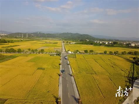 《这里是惠州》- 惠州首部完整航拍风光片_哔哩哔哩_bilibili
