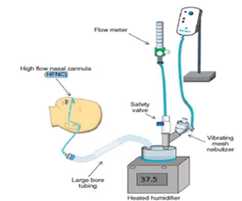 Image result for High Flow FiO2