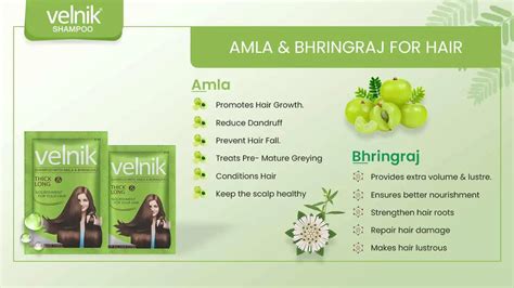 Velnik Shampoo Best Shampoo For Dry and frizzy Hair in India - Velnik ...