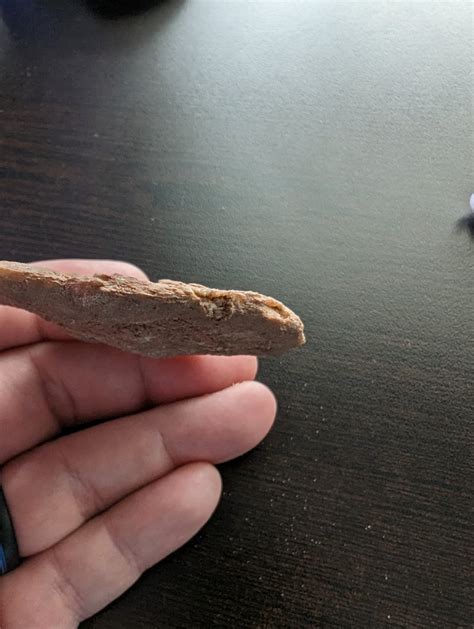 Found this in far north central Texas. Flat and very symmetrical. Other ...