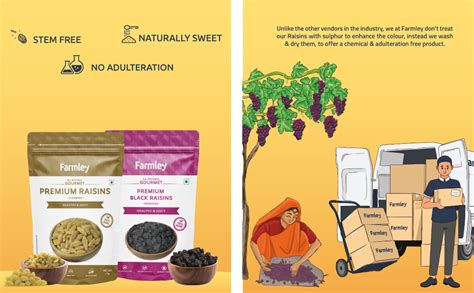 Farmley Raisins Seedless I 200g,I Kishmish, Dry Fruits Source Of ...