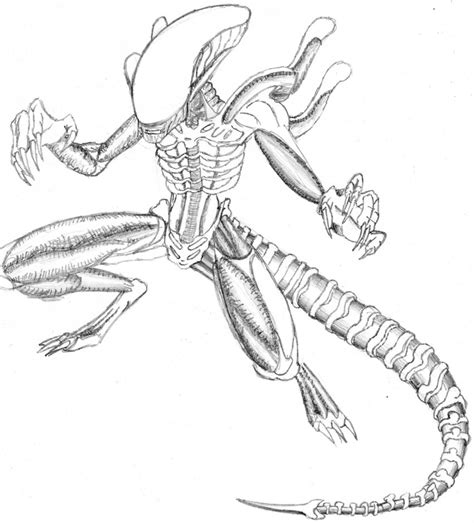 Alien Sketches 的图像结果