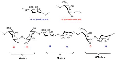 Biopolymers in Biotechnology and Tissue Engineering: A Comprehensive Review