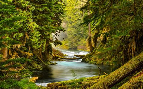 Download Oregon McKenzie River Wallpaper | Wallpapers.com