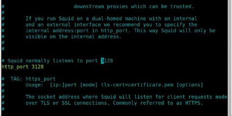 Image result for Squid Configuration Tutorial