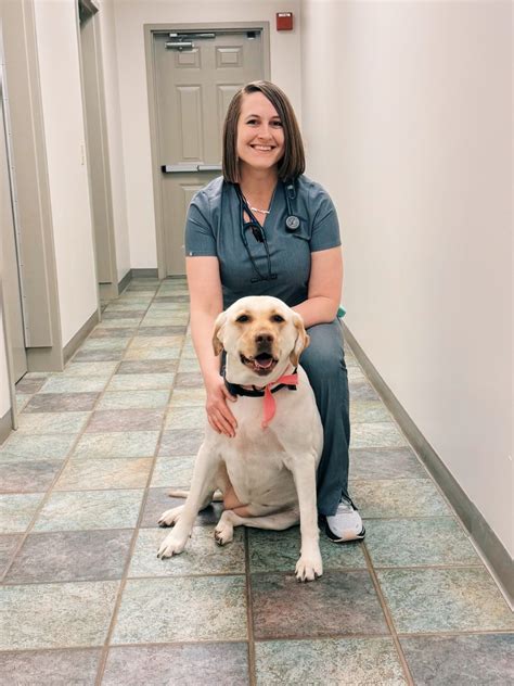 Our Team | Bloomsburg Vet Hospital
