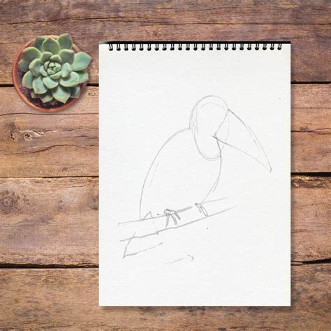 Image result for Drawing Animals Using Basic Shapes