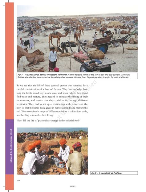 Pastoralists In The Modern World - NCERT Book of Class 9 History India ...