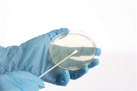 Agar and Petri Dishes Science Lesson