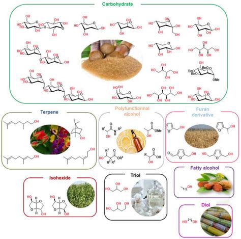 Sustainable Amination of Bio-Based Alcohols by Hydrogen Borrowing Catalysis