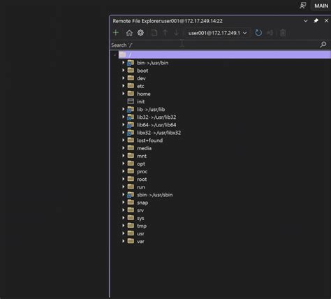 Image result for File Explorer Seattle