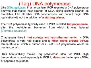 PCR Lecture 的图像结果