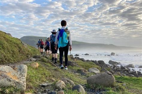 THE WILD WALK WITH SINGLETRACK ADVENTURES (2026) All You Need to Know ...