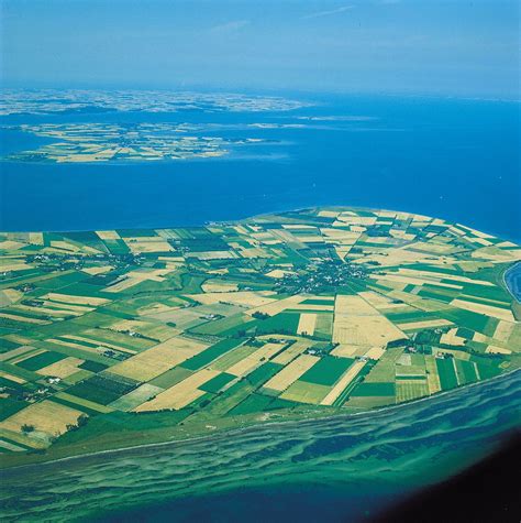 Agriculture In Denmark
