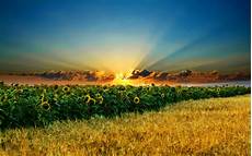 Hd Photos For Pc Desktop by Beautiful Landscape Widescreen Hd Desktop Hd Photos For Pc Desktop