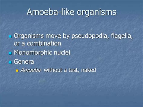 Characteristics of protozoa | PPT