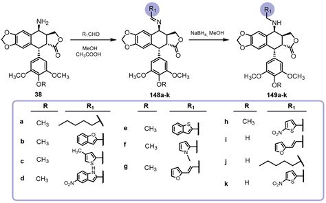Podophyllotoxin: Recent Advances in the Development of Hybridization ...