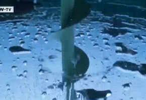 New Internet sensation: Underwater films from Finland