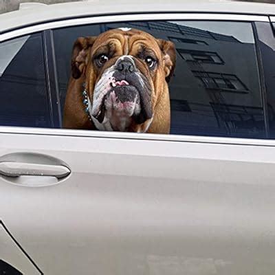 Buy Senksll Bulldog Car Window Cling Funny Car Sticker Window Decal for ...