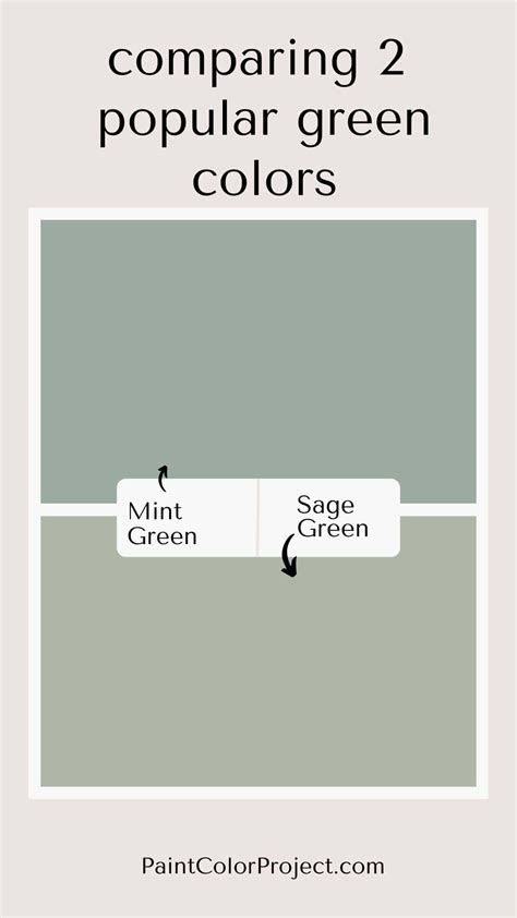 Difference Between Sage Green And Mint Green at Lester Shippy blog