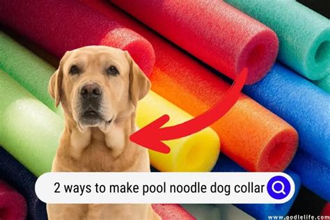 how to make a pool noodle dog collar