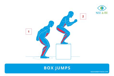Box Jumps, See & Be Fitness Static Cling Decal. Muscle groups exercised ...