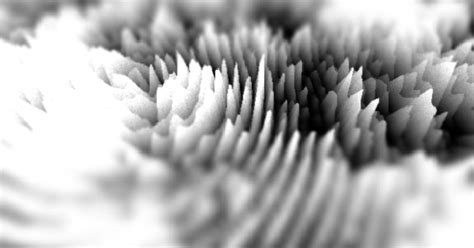 vvvv at circle of light 2014