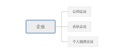公司组织架构图.ppt_程序流程_管理_流程图