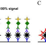 Image result for Blocking Step ELISA