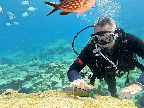 GREAT TURTLE DIVING CENTER (2026) All You Need to Know BEFORE You Go ...