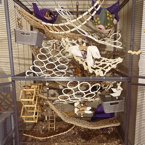 33 Rats ideas | pet rat cages, rats, rat cage
