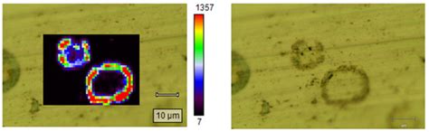 C | An Open Access Journal from MDPI
