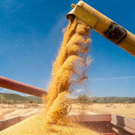 Image result for Bulk Processing